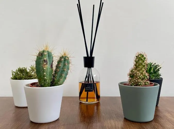 Appartamento A Due Passi Dal Centro